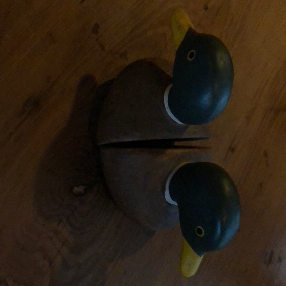 Duck head bookends